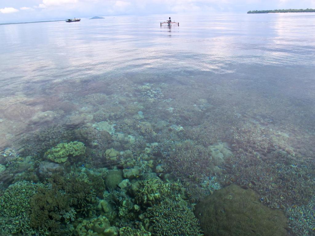 Bunaken Cha Cha Nature Resort Exterior foto